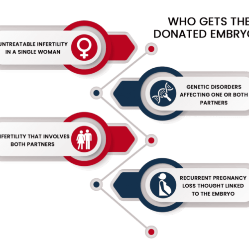 Embryo donation Centre in Punjab